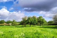 IMG_20200501_102045