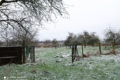IMG_20210207_120301